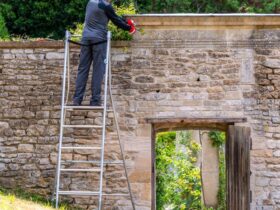 finding the best step ladders