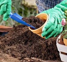 Choosing the Best Soil for Gardening