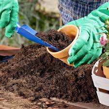 Choosing the Best Soil for Gardening