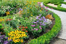 Perennials vs Annuals